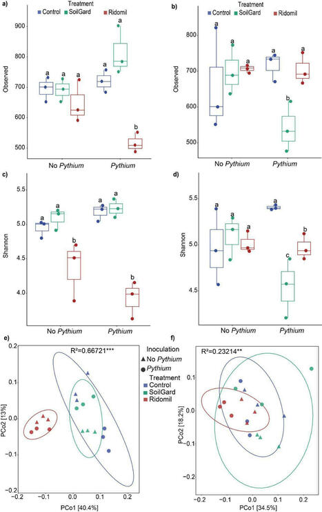 A comparative study: impact of chemical and biological fungicides on soil bacterial communities | bmc | RMH | Scoop.it