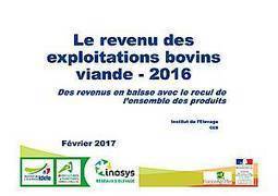 Le revenu des exploitations bovins viande  2016 - Idele | Graines de doc | Scoop.it