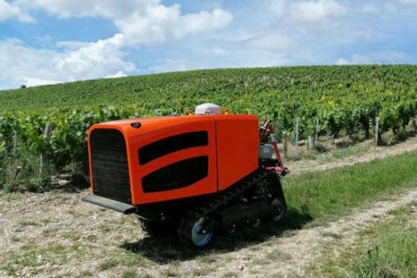 Le robot chenillard autonome C&eacute;ol dans les vignes d&egrave;s le printemps - Vitisph&egrave;re | Pour innover en agriculture | Scoop.it