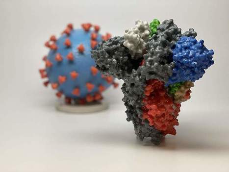 NIH clinical trial of investigational vaccine for COVID-19 begins | Veille Coronavirus - Covid-19 | Scoop.it