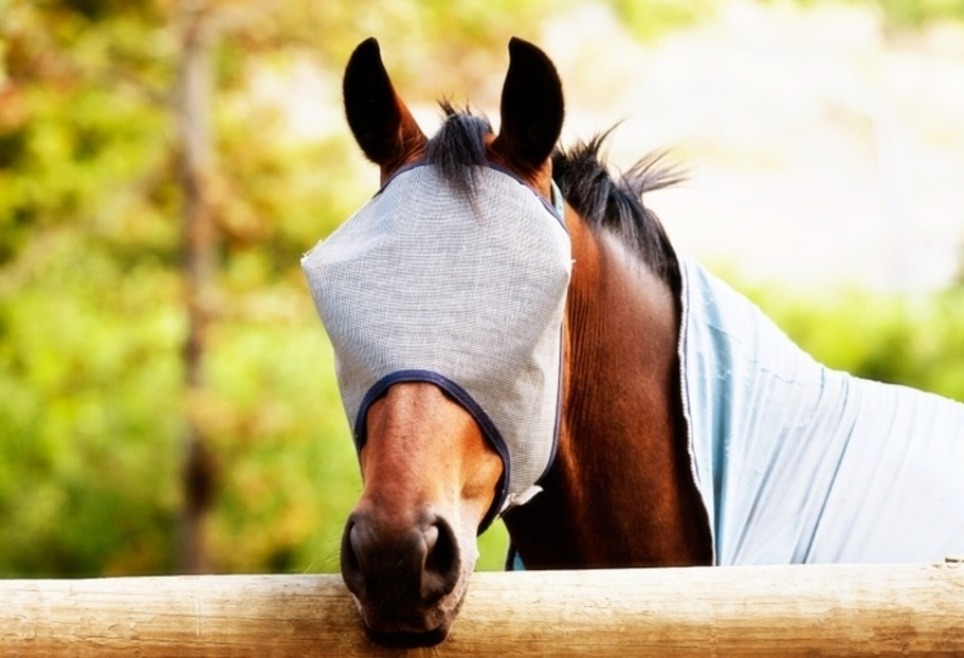 10 Ejemplos de buyer persona | Marketing de contenidos, artículos seleccionados por Eva Sanagustin | Scoop.it