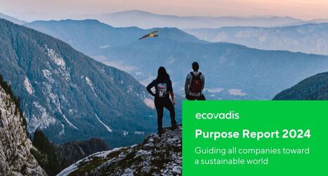 Rapport de Mission 2024 | EcoVadis | Actualités Achats Responsables | Scoop.it