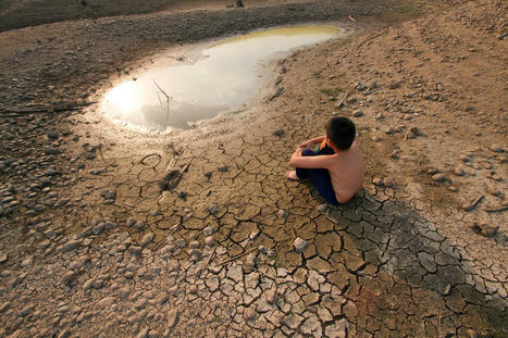 La valeur des usages de l'eau est estimée à 60% du PIB mondial selon un nouveau rapport du WWF | Biodiversité | Scoop.it