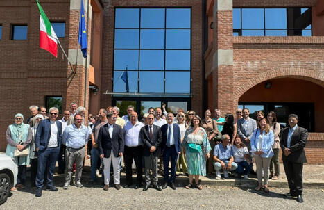 Contrastare i cambiamenti climatici in olivicoltura: le strade possibili | OLIVE NEWS | Scoop.it