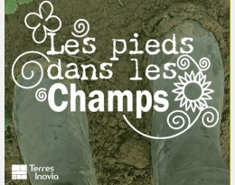 Les pieds dans les champs : une série sur les pratiques agroécologiques en grandes cultures - Ecophytopic | Pour innover en agriculture | Scoop.it
