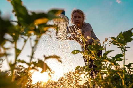 SMART FARMING : Sustainable strategies for agriculture and biodiversity | INNOVATIONS | Scoop.it