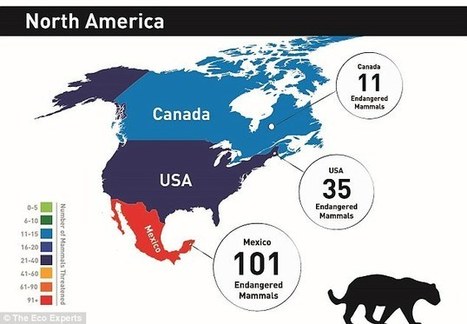 Maps reveal which countries have the most endangered mammals | Biodiversité | Scoop.it