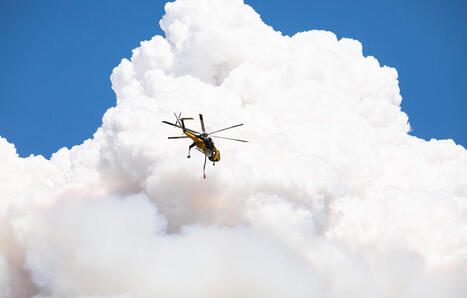 Etats-Unis&nbsp;: Un violent feu de for&ecirc;t ravage le Nevada, plus de 40.000 habitants &eacute;vacu&eacute;s | Biodiversit&eacute; - @ZEHUB on Twitter | Scoop.it