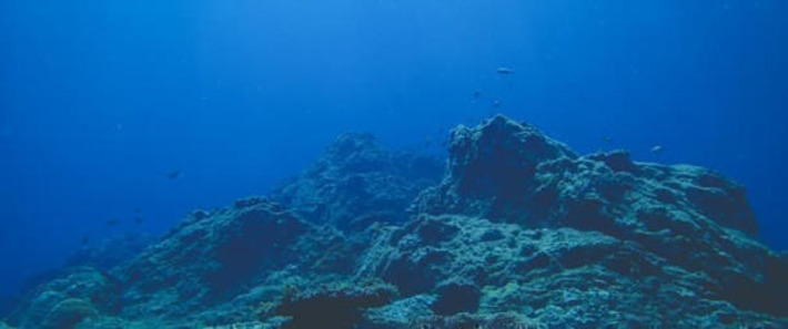 Inside the Deep-Sea Mining Debate | Financial Markets Report  - Transforming Money Into Wealth | Scoop.it