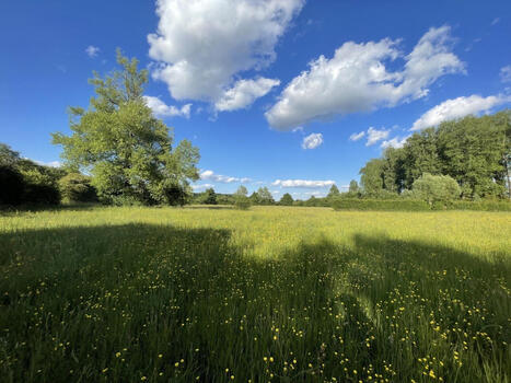 Une agricultrice du Nord s&eacute;lectionn&eacute;e parmi les finalistes de ce grand concours agricole | Paysage - Agriculture | Scoop.it