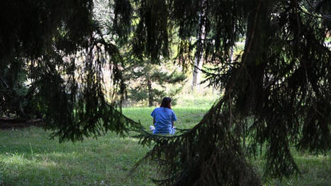 Forest bathing: The Harvard program helping young doctors slow down | Hospitals and Healthcare | Scoop.it