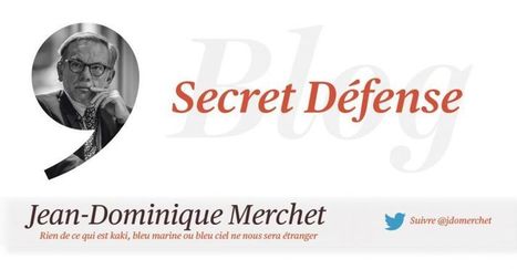 Castor, Epervier, Serval... la ménagerie des opérations militaires | DEFENSE NEWS | Scoop.it