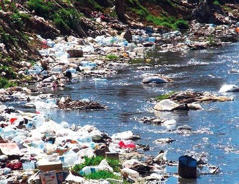 Eau contaminée. La chaîne alimentaire à risque / 01.04.2016 | Pollution accidentelle des eaux par produits chimiques | Scoop.it