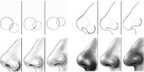 Adult Noses in Profile | Drawing References and Resources | Scoop.it