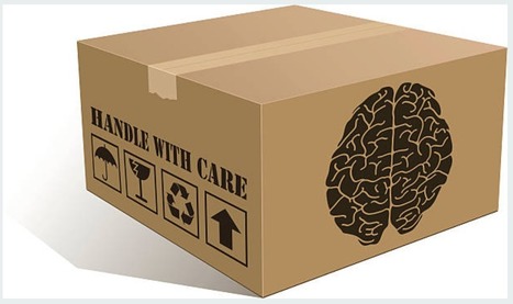 ¿Qué es la Neurodidáctica? – | Educación Siglo XXI, Economía 4.0 | Scoop.it