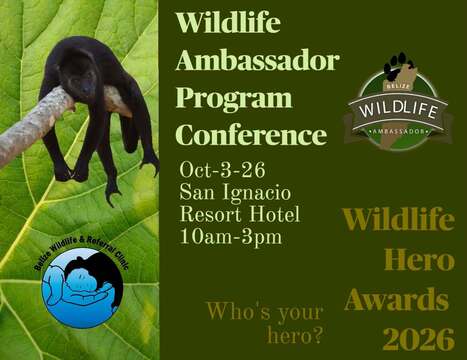 Wildlife Hero Nominations 2026 Open | Cayo Scoop!  The Ecology of Cayo Culture | Scoop.it