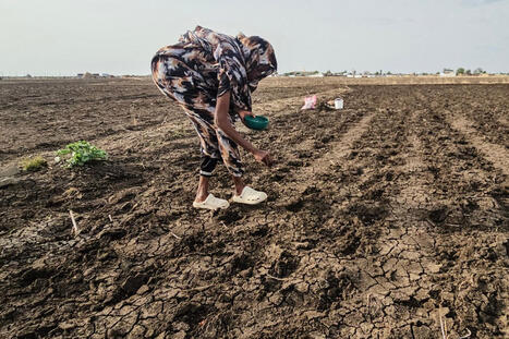 AFRICA: Food insecurity grips 40.3 million in Eastern Africa&nbsp; | AFRIQUES | Scoop.it