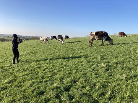 "Pistes vertes" Dimanche 8 juin : La ferme de Hyaumet À Dampierre-en-Bray en Seine-Maritime | Les Colocs du jardin | Scoop.it