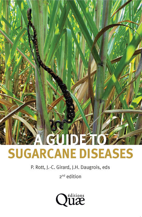 A guide to sugarcane diseases - New Edition : open access | &Eacute;cosyst&egrave;mes Tropicaux | Scoop.it
