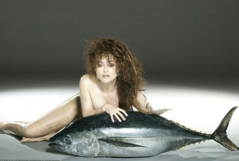 'FishLove' is Back With More Celebs Posing Nude to Support Marine Species - Ecorazzi | Coastal Restoration | Scoop.it