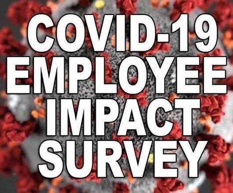 COVID-19 Employee Impact Survey | Newtown News of Interest | Scoop.it