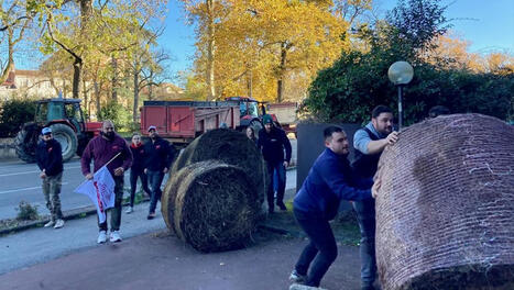 Contrôle de camions et blocage du centre des impôts : les agriculteurs tarnais mobilisés à Castres ce mercredi | Changement Climatique | Scoop.it