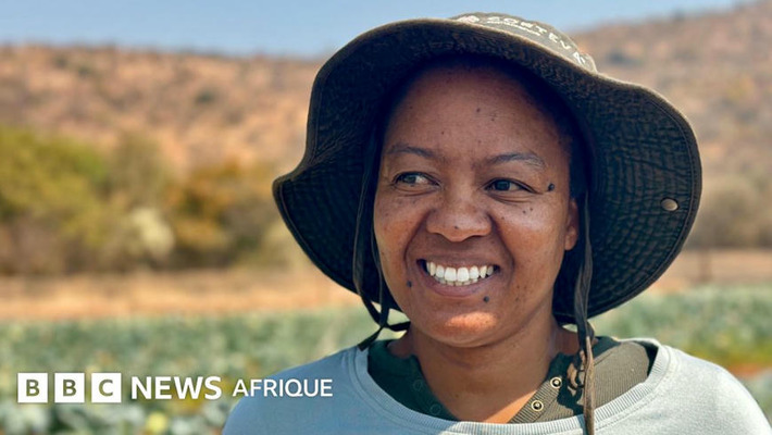 L'IA en Afrique : les experts veulent combler le fossé linguistique | Quezil - News on Language & Technology | Scoop.it