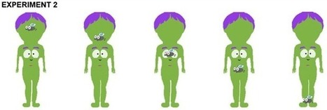 Cheap Soul Teleportation, Coming Soon to a Theater Near You? | Science News | Scoop.it