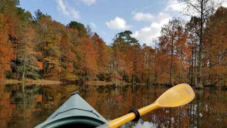 How to practice good etiquette at Delaware State Parks | Industry 411 - Waste Management | Scoop.it