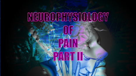 Neurophysiology Of Pain | El Paso, TX. | Part II | Doctor Of Chiropractic | Spine Health & Spinal Hygiene | Scoop.it
