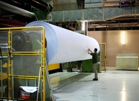 [innovation] Des briques isolantes issues des déchets de l’industrie papetière | Build Green, pour un habitat écologique | Scoop.it