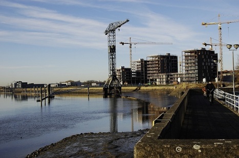 Dans le Nord, un accident industriel a tué toute vie dans le fleuve l’Escaut | Vers la transition des territoires ! | Scoop.it