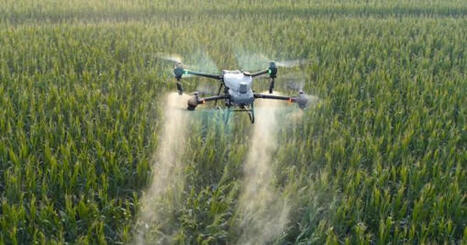 LATIN AMERICA: Why is attracting global agricultural companies? | AM&Eacute;RIQUES | Scoop.it
