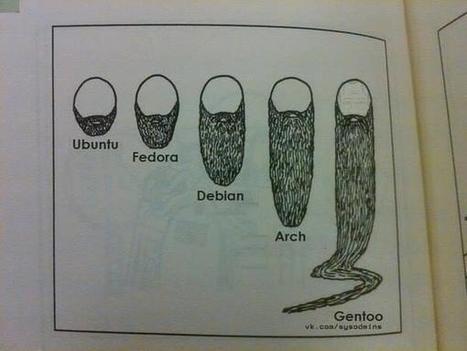 These are the #Linux beards | @TheBlogPirate | fun for geeks | Scoop.it