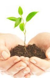 » 7 Small & Simple Habits for a Happy Marriage - World of Psychology | Relationships | Scoop.it