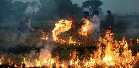 Derri&egrave;re les probl&egrave;mes de smog &agrave; Delhi en Inde, une r&eacute;volution agricole plus verte &agrave; r&eacute;inventer | TRANSITION AGROECOLOGIQUE : PRATIQUES ET POLITIQUES AGRICOLES | Scoop.it