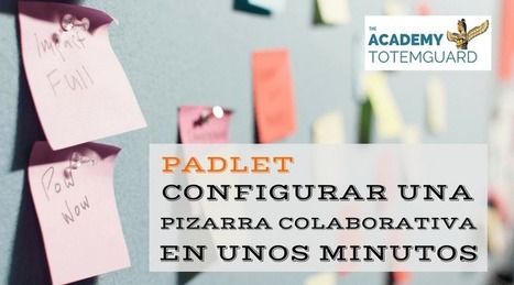 Padlet: Configurar una pizarra colaborativa en minutos | TIC & Educación | Scoop.it