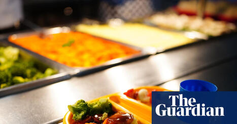 Plan for healthier school meals in England will hit services, say caterers | School meals | The Guardian | Microeconomics: IB Economics | Scoop.it