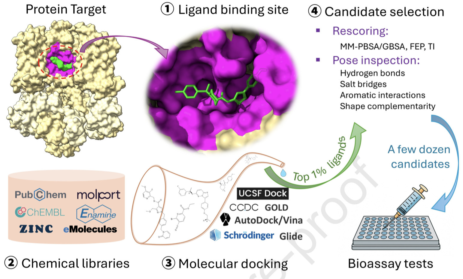 Docking-Based Virtual Screening: Past, Present,...