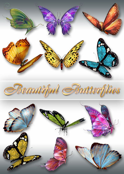 Clipart PNG - Beautiful Butterflies | Drawing References and Resources | Scoop.it