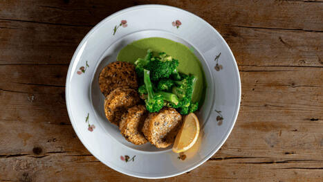 Steakholder Foods Debuts Plant-Based White Fish and Salmon Products in Israel | ITERG - Veille sectorielle | Scoop.it