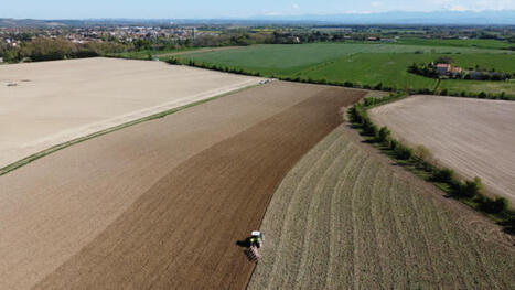 Accords commerciaux UE 2026 AGRICULTURE : impacts et risques | CIHEAM Press Review | Scoop.it