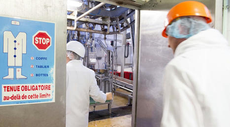 FranceRelance : les premiers projets d’abattoirs sélectionnés | Ministère de l'Agriculture et de l'Alimentation | La Gazette des abattoirs | Scoop.it