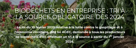 Biodéchets en entreprise : tri à la source obligatoire dès 2024 | HORTICULTURE | Scoop.it