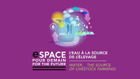 Quand l&rsquo;abreuvoir devient un capteur : surveiller les bovins au p&acirc;turage gr&acirc;ce au num&eacute;rique frugal | SCIENCES DE L' ANIMAL | Scoop.it