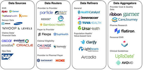 Four data business archetypes in health care | 7- DATA, DATA,& MORE DATA IN HEALTHCARE by PHARMAGEEK | Scoop.it