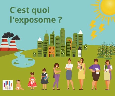 L'#exposome, la santé et l'environnement | nous sommes soumis tout au long de notre vie à travers l’alimentation l’air les rayonnements, l’environnement sonore, psychoaffectif ou socioéconomique Ce... | RSE et Développement Durable | Scoop.it