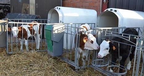 Les revenus des exploitations laitières plafonnent | Lait de Normandie... et d'ailleurs | Scoop.it