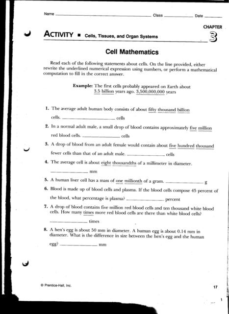 Worksheets Active And Passive Transport Worksheet active transport worksheet answers passive and abitlikethis cell worksheet