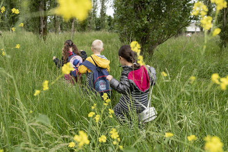 Avec les aires terrestres éducatives, les enfants deviennent gardiens de la nature | Biodiversité | Scoop.it